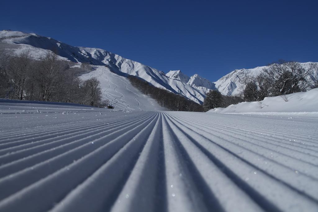 Hotel Oak Forest Hakuba Bagian luar foto